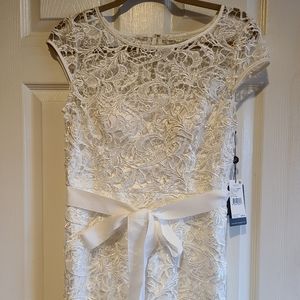 Adrianna Papell Dress